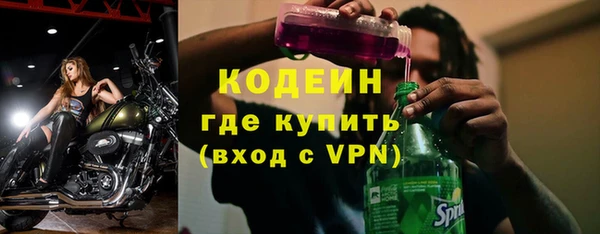 хмурый Алзамай