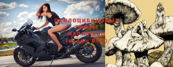 прущие грибы Абаза