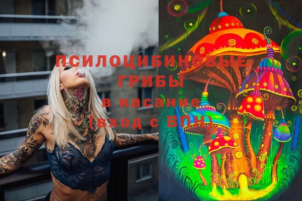 хмурый Алзамай
