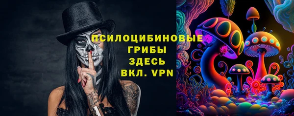 прущие грибы Абаза