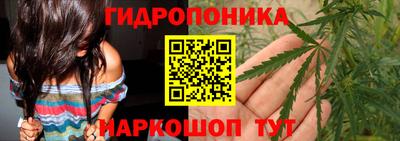 мет Ефремов
