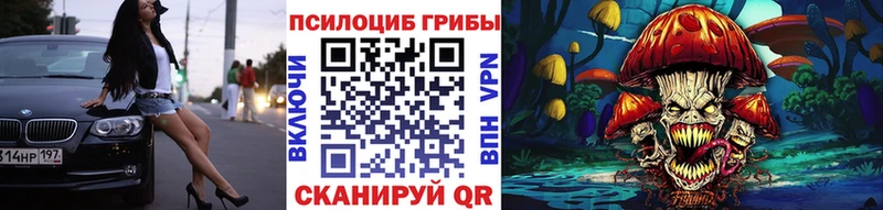 Псилоцибиновые грибы Cubensis  купить закладку  Канск 